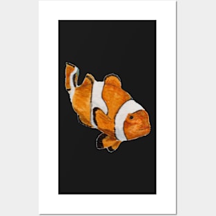 clownfish on blue anemone Posters and Art